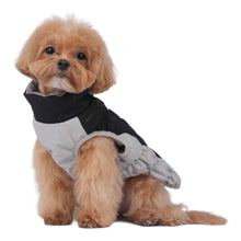 Load image into Gallery viewer, Dog models Northumberland Style Dog Coat

