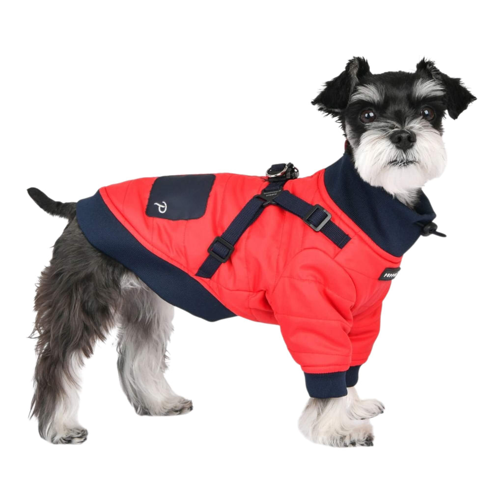 Dog wearing a red and navy coat on a white background