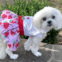 Load image into Gallery viewer, Dog models Strawberry Picnic Dog Dress with Matching Leash
