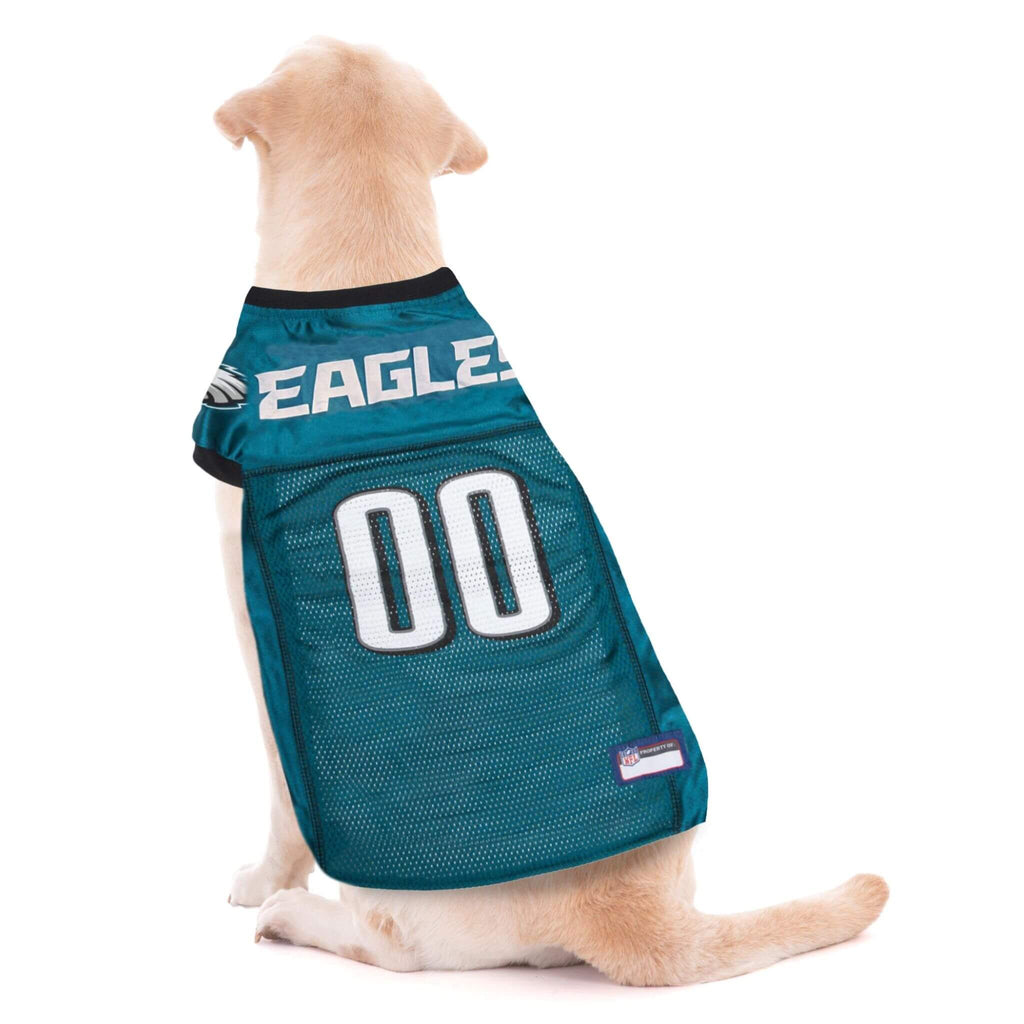 Dog wearing a teal sports jersey with 'EAGLES' and number '00' on a white background