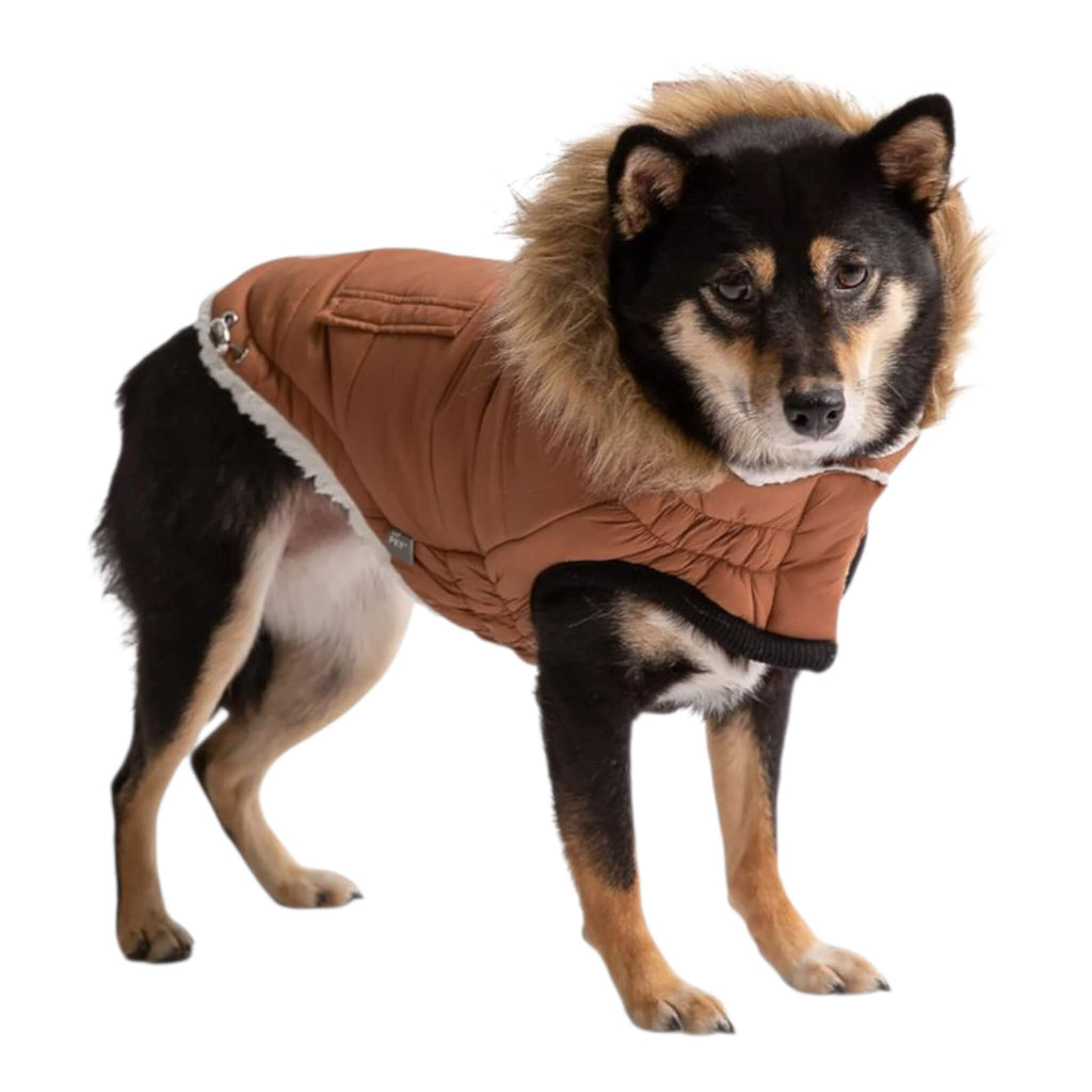Dog models Urban Dog Parka in Caramel