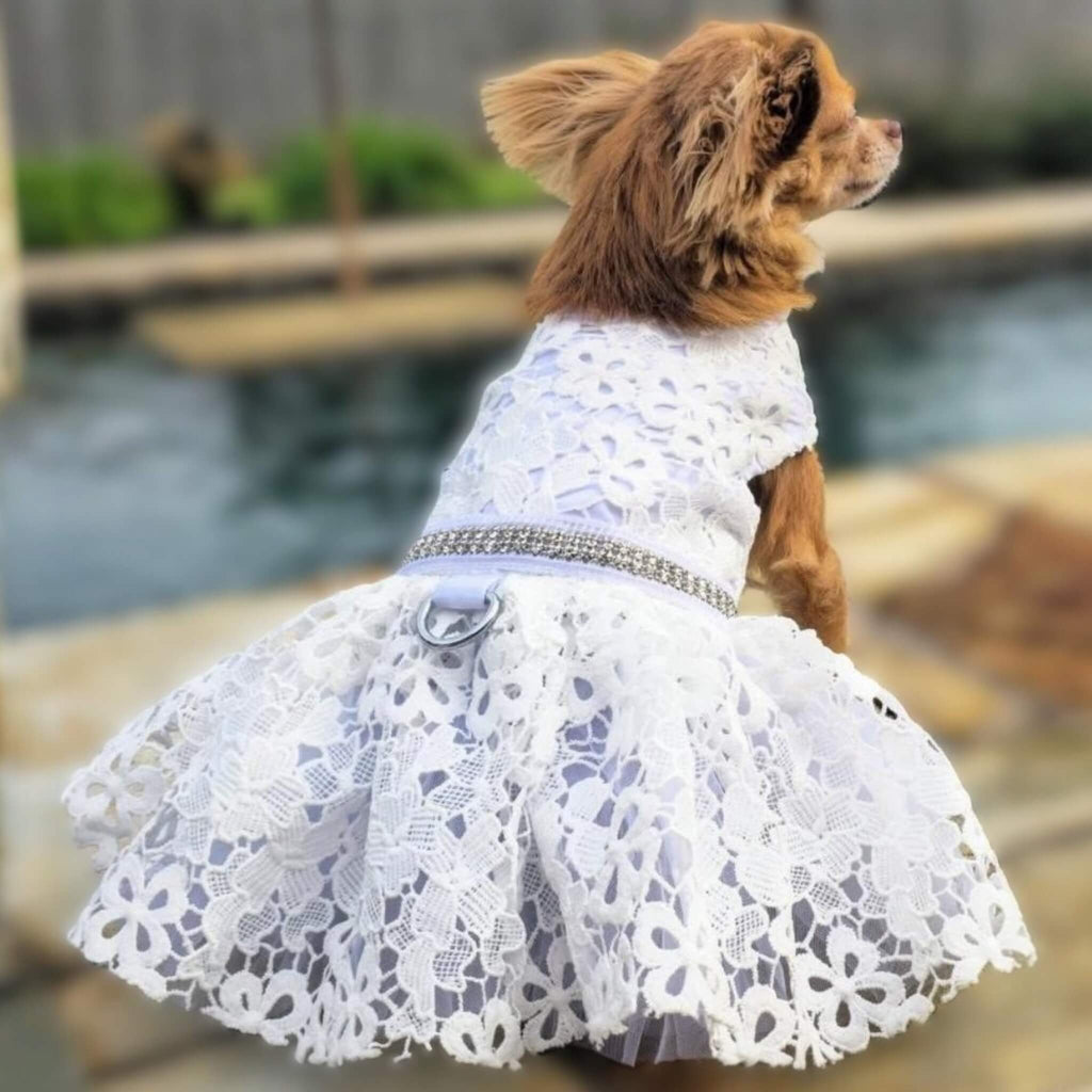 dog wedding dress lace White with Matching Leash this handcrafted dress exudes Color:Blue Heaven Bengaline sliding Gathered Back Halter BodyCon