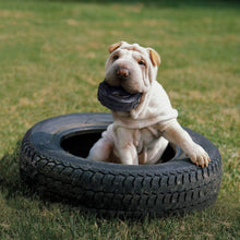 Load image into Gallery viewer, Dog plays in a tire with the KONG Extreme Tire Dog Chew Toy
