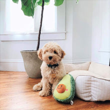 Load image into Gallery viewer, Dog plays with the NomNomz Avocado Plush Dog Toy
