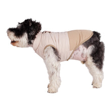 Load image into Gallery viewer, Dog shows off the Durham Dog Coat - side view
