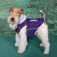 Load image into Gallery viewer, Dog smiles in his Weekender Sweatshirt Dog Hoodie in Purple
