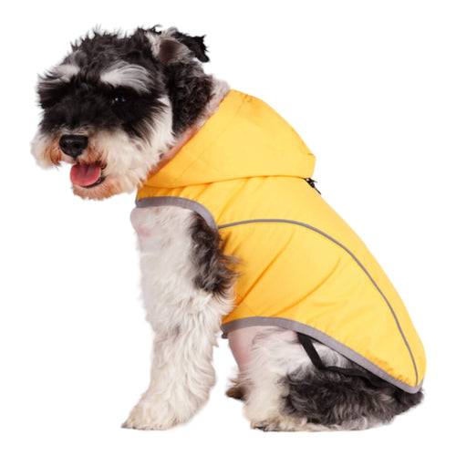 Dog wears medium-sized Cumbria Yellow Dog Raincoat