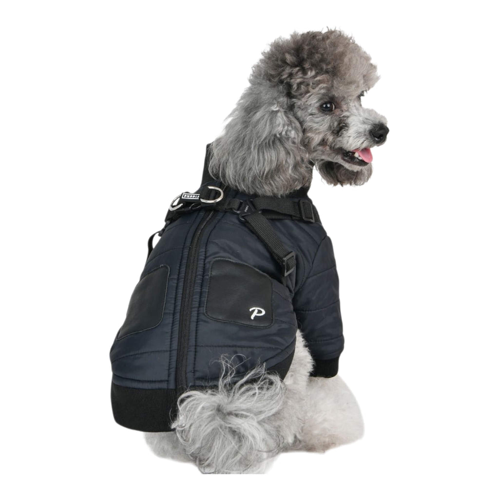 Dog wearing a black jacket on a white background