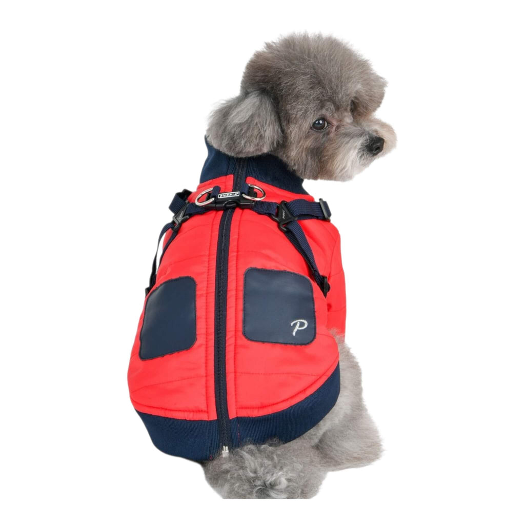 Small dog wearing a red and navy dog coat on a white background
