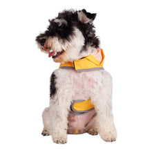 Cargar imagen en el visor de la galería, Dog wears the Cumbria Yellow Dog Raincoat
