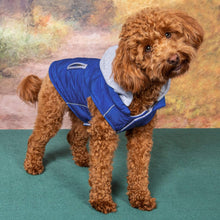 Load image into Gallery viewer, Dog wears Weekender Sweatshirt Dog Hoodie in Royal Blue
