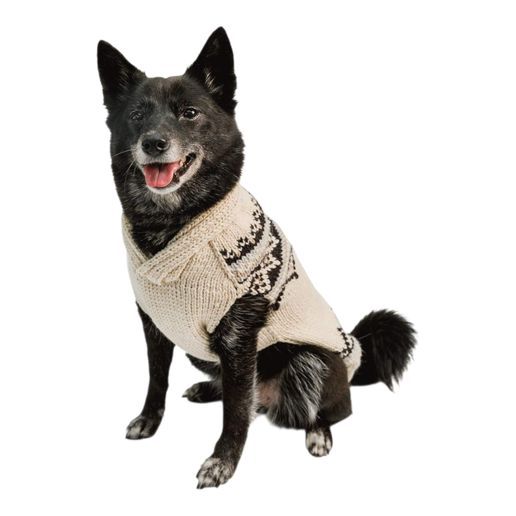 Dog wearing a cream alpaca knitted sweater on a white background