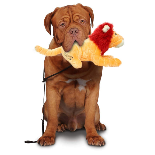 Dog with Linus the Lion Tough Dog Toy