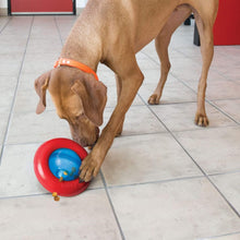 Load image into Gallery viewer, Dogs love the Gyro Treat Dispensing Dog Toy
