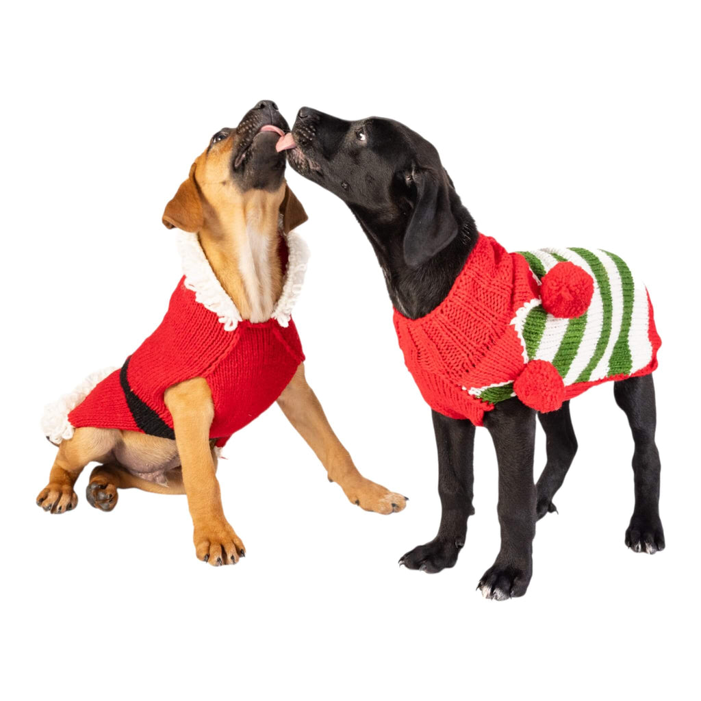 Two dogs wearing festive sweaters on a white background