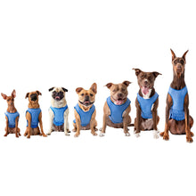 Load image into Gallery viewer, Elasto-Fit Ice Dog Cooling Vest
