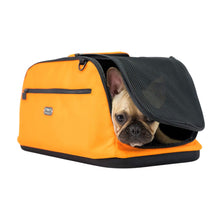 Load image into Gallery viewer, Frenchie rides in his Sleepypod Air Pet Carrier in Orange Dream
