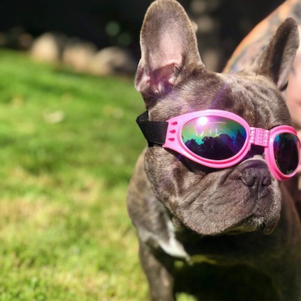 K9 Sport Shades Dog Goggles | UV Protection