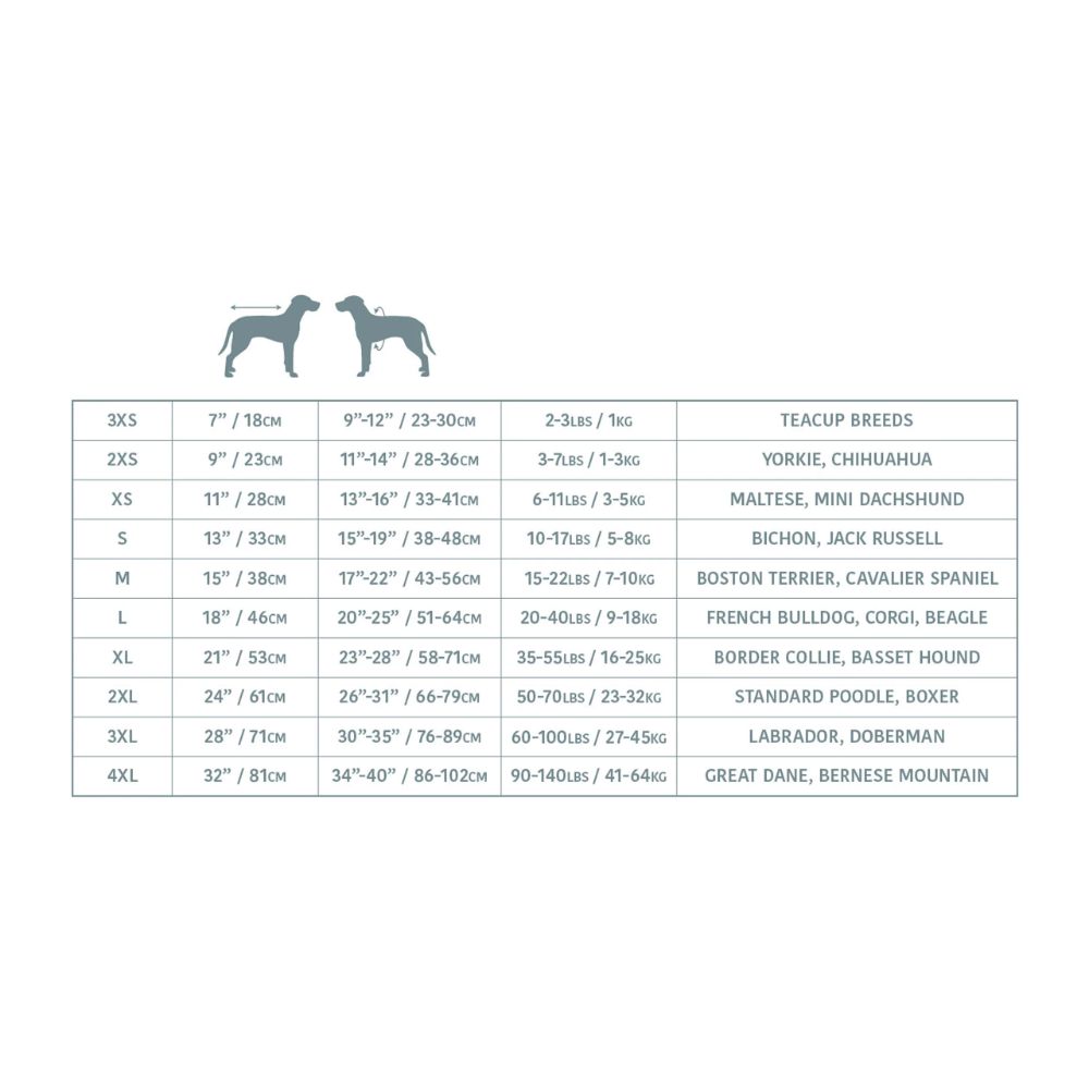 Dog size chart with breed categories on a white background