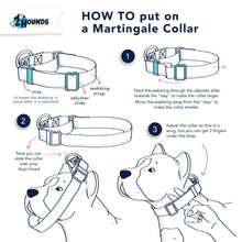 Cargar imagen en el visor de la galería, How to put on a Martingale Dog Collar
