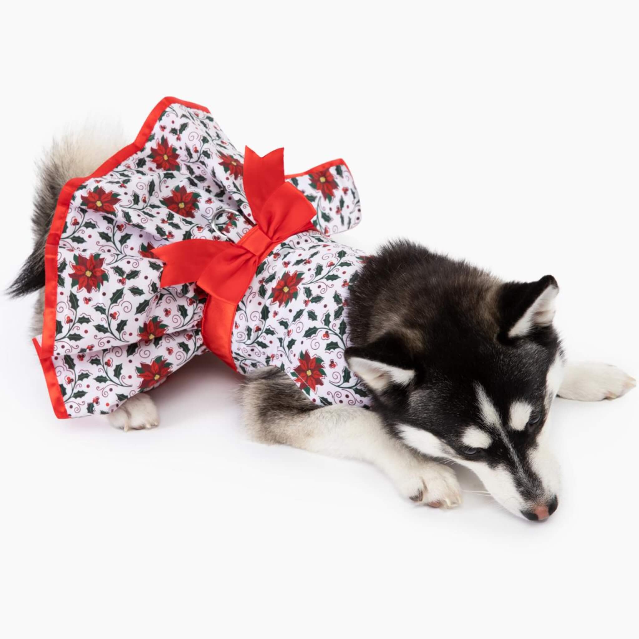 dog holiday dress Red Tartan Plaid Holiday Dog Dress w/ Leash