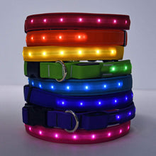 Load image into Gallery viewer, LED Dog Collar Collection by Yellow Dog Design
