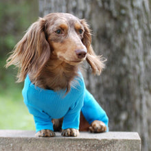 Load image into Gallery viewer, Long haired Dachshund models Sweet Dreams Thermal Dog Pajamas in Blue
