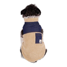 Load image into Gallery viewer, Looking at the back of the Cambridge Denim Patchwork Dog Coat
