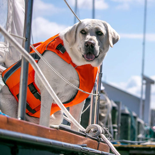 Monterey Bay Offshore Dog Life Jacket in Orange