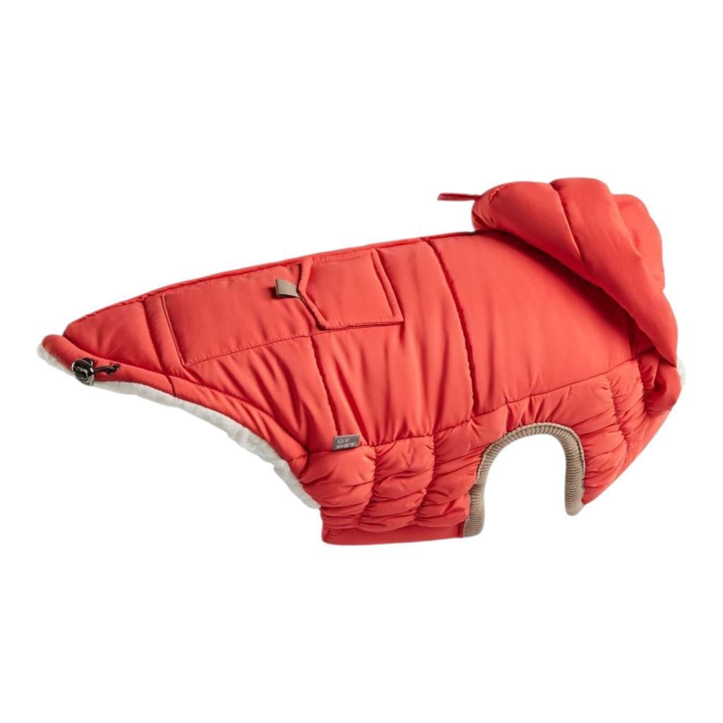 Dog parka with a hood on a white background