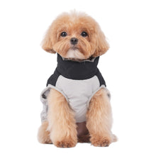 Load image into Gallery viewer, Northumberland Style Dog Coat features attractive black and grey design
