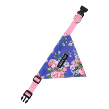 Load image into Gallery viewer, Pink and Blue Floral Burst Dog Bandana with integral collar
