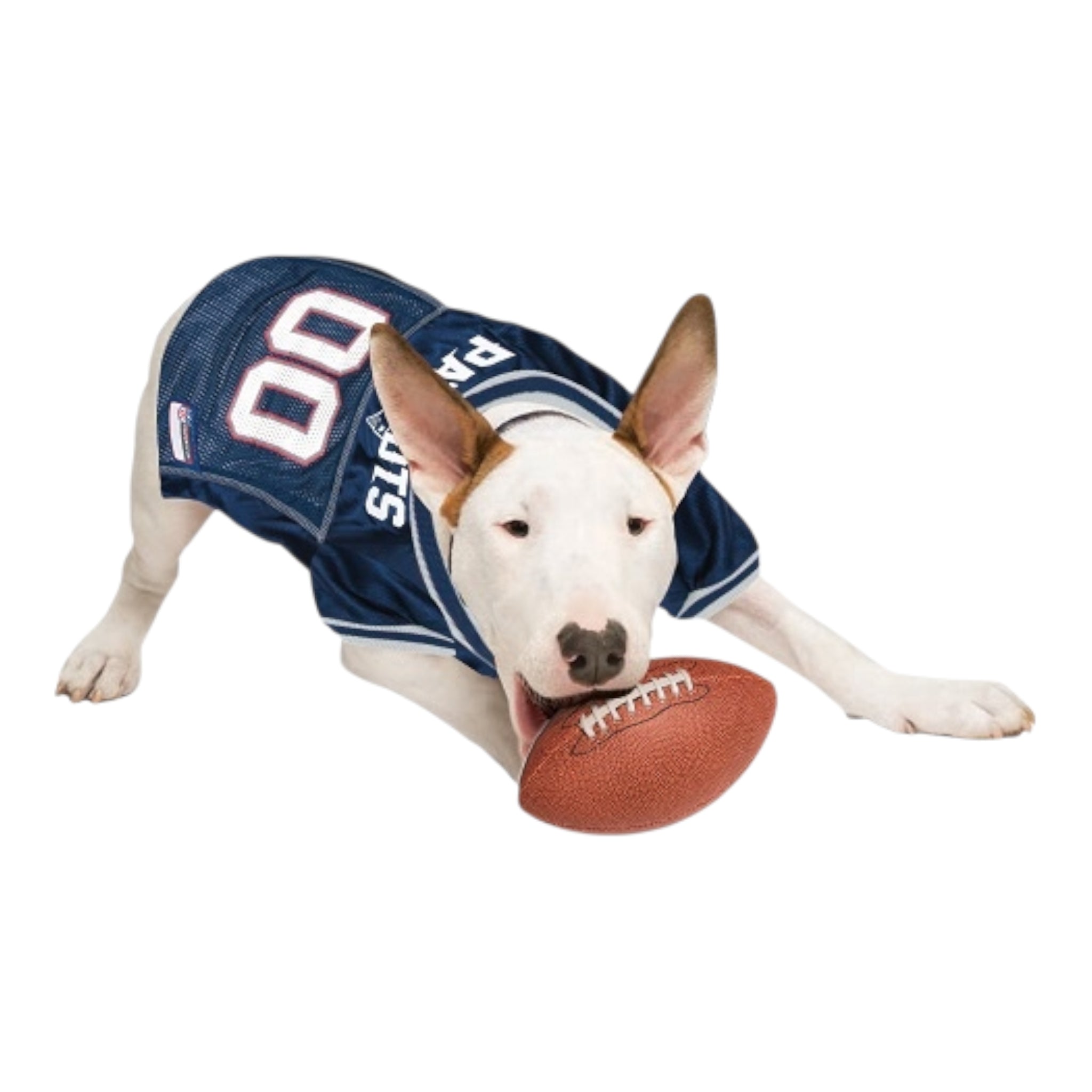 Para los fanáticos de los perros de la NFL | Pets First Camiseta para perro  NFL de los New England Patriots – UKUSCAdoggie, image size:2048x2048