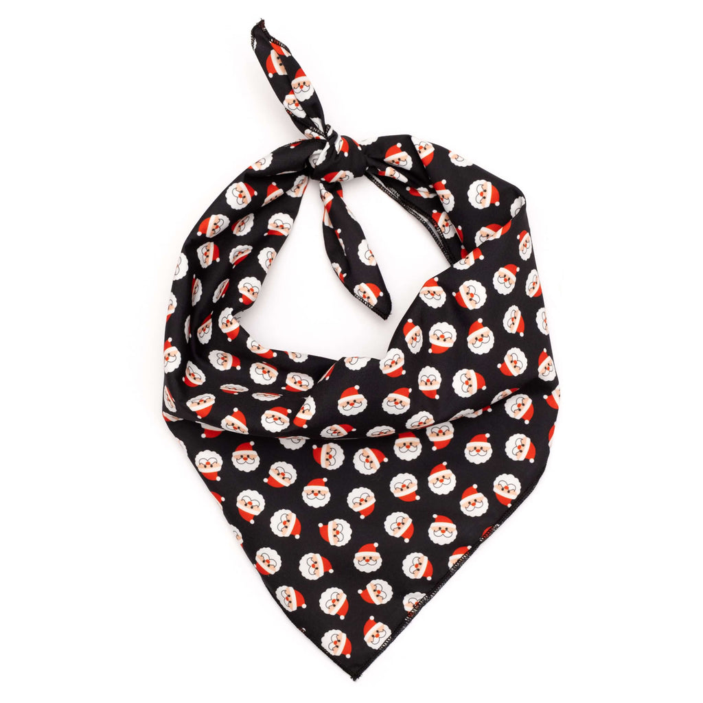 Santa Dog Bandana