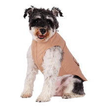 Load image into Gallery viewer, Sitting pretty in the Somerset Retro Quilted Dog Coat
