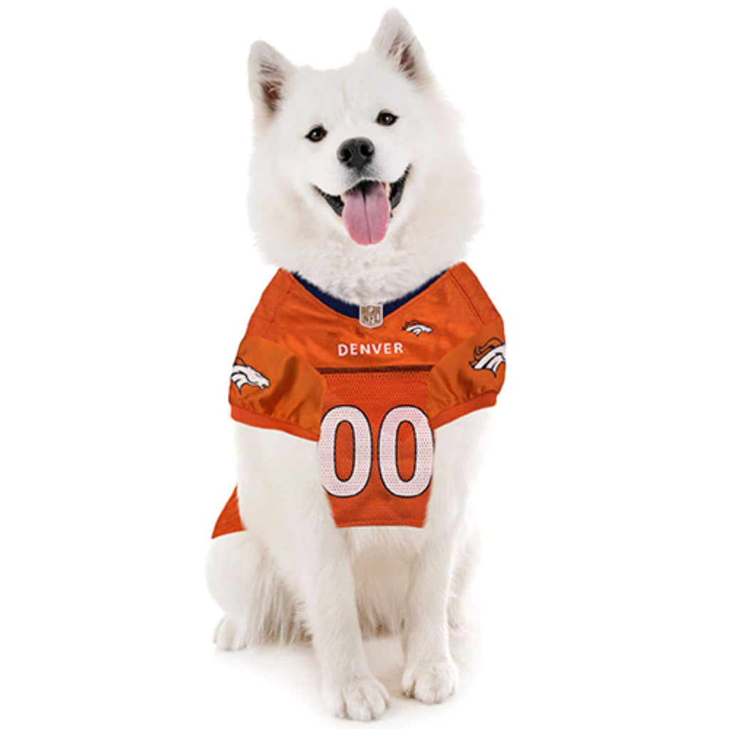 White dog wearing an orange Denver Broncos pet jersey on a white background