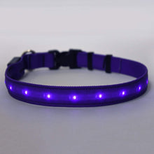 Load image into Gallery viewer, Solid Purple ORION LED Dog Collar lit up

