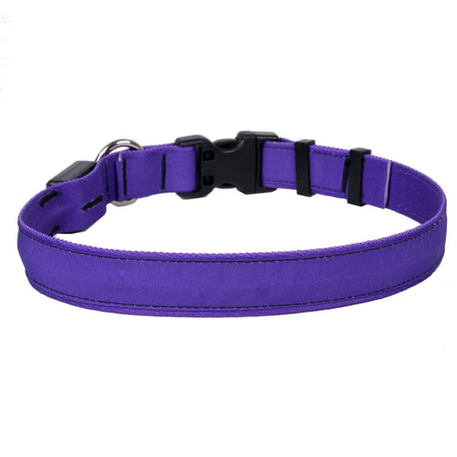 Solid Purple ORION LED Dog Collar