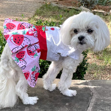 Load image into Gallery viewer, Strawberry Picnic Dog Dress with Matching Leash is perfect for doggie fashionistas
