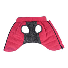 Load image into Gallery viewer, The Cheshire Modern Step-In Dog Coat is stylish and functional
