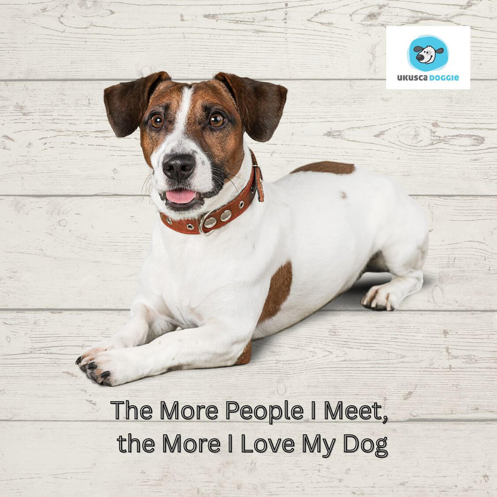 Coaster picturing a dog lying on a wooden floor with a quote and UKUSCA Doggie logo.