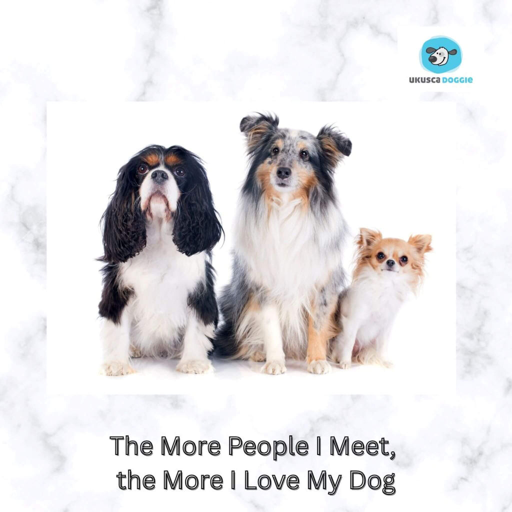 Three dogs sitting together with a text overlay and UKUSCA Doggie logo.