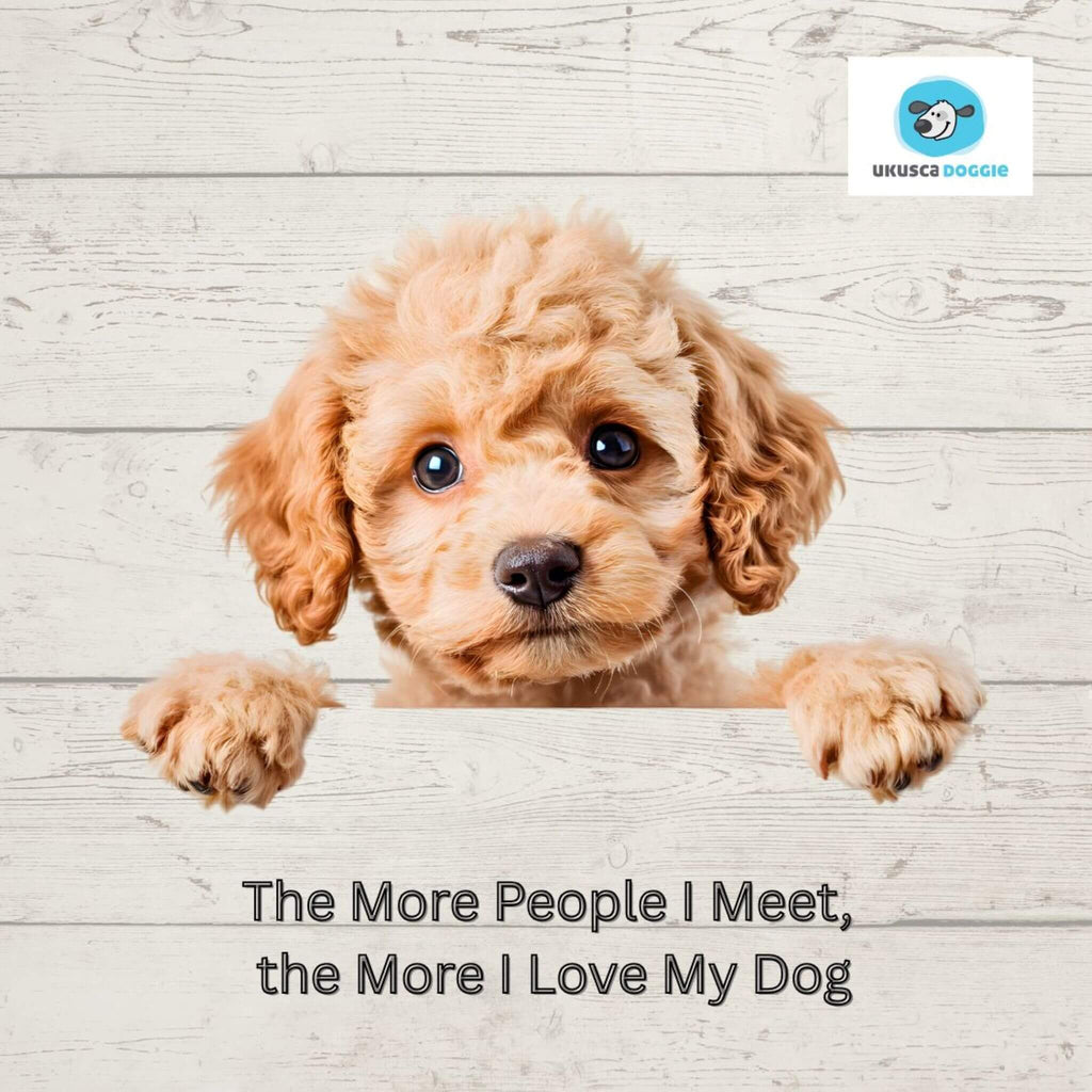 The More People I Meet, the More I Love My Dog Coaster