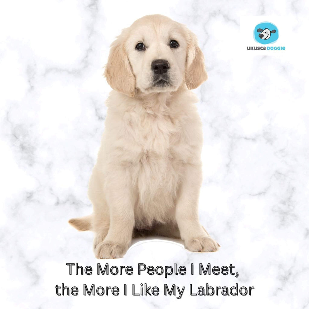 Puppy sitting on a white background with text 'The More People I Meet, the More I Like My Labrador' and a logo in the corner.