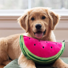 Load image into Gallery viewer, The Watermelon Plush Dog Toy is sure to be a favorite
