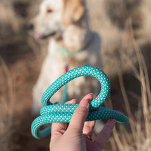 Load image into Gallery viewer, Top quality Mod Essential Rope Dog Leash in Teal
