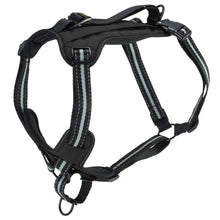 Cargar imagen en el visor de la galería, Walk-Along Outdoor Dog Harness in Black

