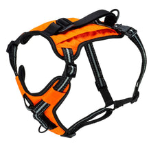 Cargar imagen en el visor de la galería, Walk-Along Outdoor Dog Harness in Orange
