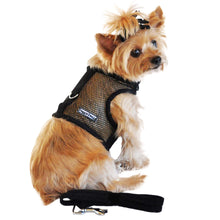 Load image into Gallery viewer, Yorkie models Cool Mesh Dog Harness in Solid Black
