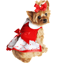 Load image into Gallery viewer, Yorkie models Holiday Dog Harness Dress - Candy Canes
